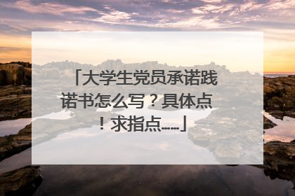 大学生党员承诺践诺书怎么写？具体点！求指点……