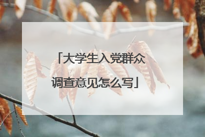 大学生入党群众调查意见怎么写