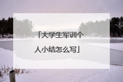 大学生军训个人小结怎么写