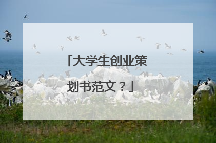 大学生创业策划书范文？