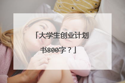 大学生创业计划书800字？