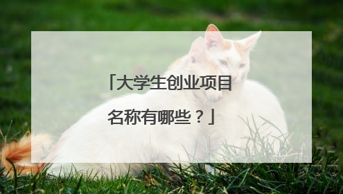 大学生创业项目名称有哪些？