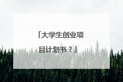 大学生创业项目计划书？