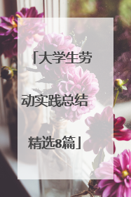 大学生劳动实践总结精选8篇
