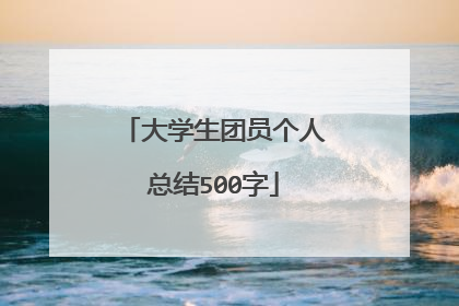 大学生团员个人总结500字