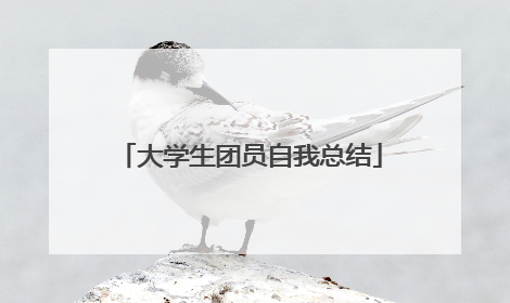 大学生团员自我总结