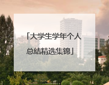 大学生学年个人总结精选集锦