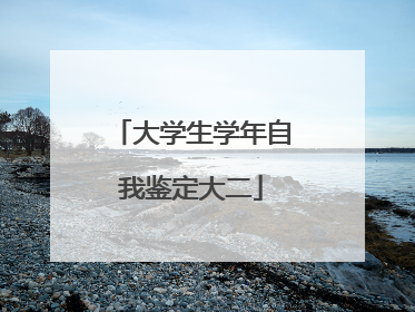 大学生学年自我鉴定大二