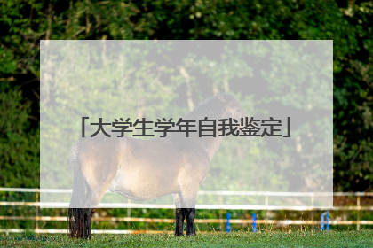 大学生学年自我鉴定