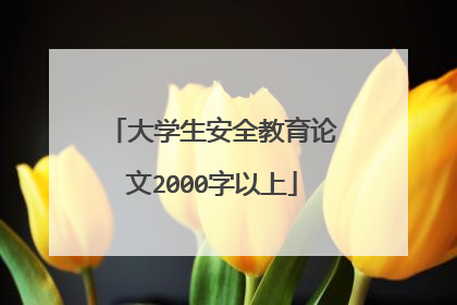 大学生安全教育论文2000字以上