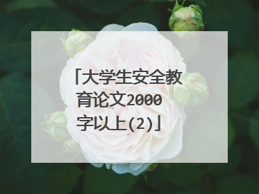 大学生安全教育论文2000字以上(2)