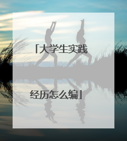 大学生实践经历怎么编