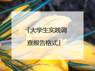 大学生实践调查报告格式