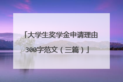 大学生奖学金申请理由300字范文（三篇）