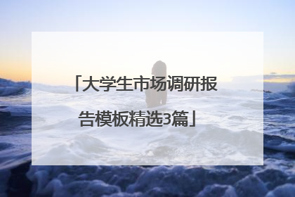 大学生市场调研报告模板精选3篇