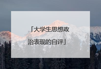 大学生思想政治表现的自评