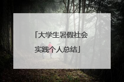 大学生暑假社会实践个人总结