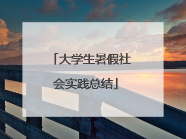 大学生暑假社会实践总结