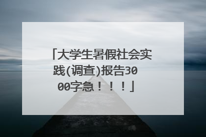 大学生暑假社会实践(调查)报告3000字急！！！