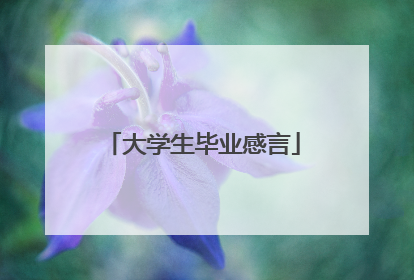 大学生毕业感言