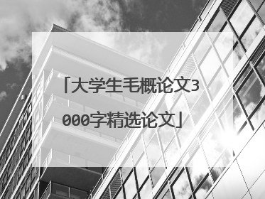 大学生毛概论文3000字精选论文
