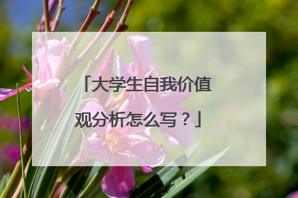 大学生自我价值观分析怎么写?