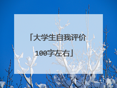 大学生自我评价100字左右