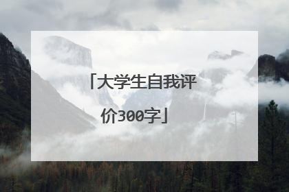大学生自我评价300字