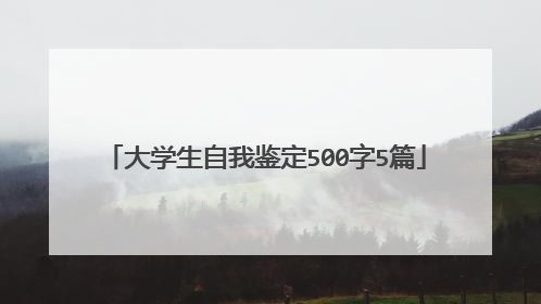 大学生自我鉴定500字5篇