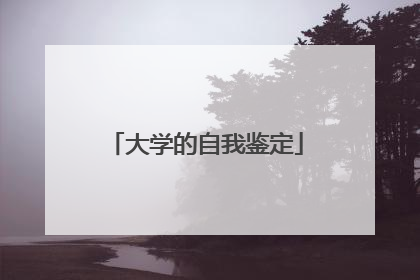 大学的自我鉴定