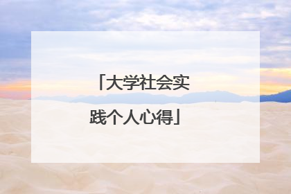 大学社会实践个人心得