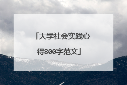 大学社会实践心得800字范文