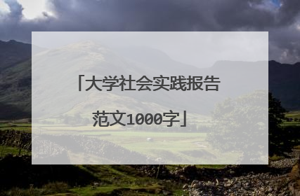 大学社会实践报告范文1000字