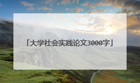 大学社会实践论文3000字