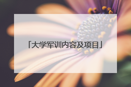 大学军训内容及项目