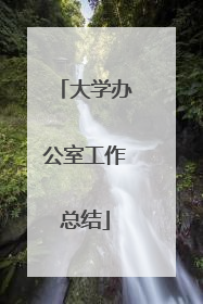 大学办公室工作总结