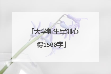 大学新生军训心得1500字