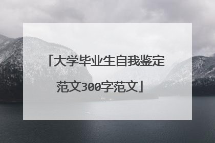 大学毕业生自我鉴定范文300字范文