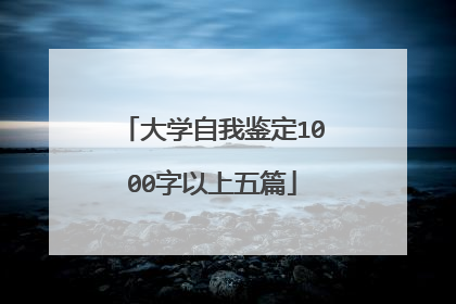 大学自我鉴定1000字以上五篇