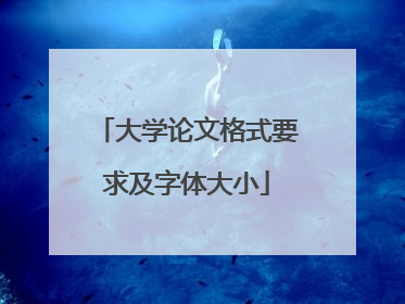 大学论文格式要求及字体大小