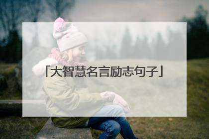 大智慧名言励志句子