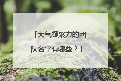 大气凝聚力的团队名字有哪些？