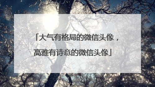 大气有格局的微信头像,高雅有诗意的微信头像