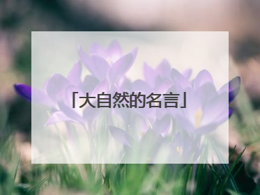 大自然的名言