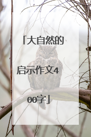 大自然的启示作文400字