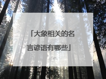 大象相关的名言谚语有哪些