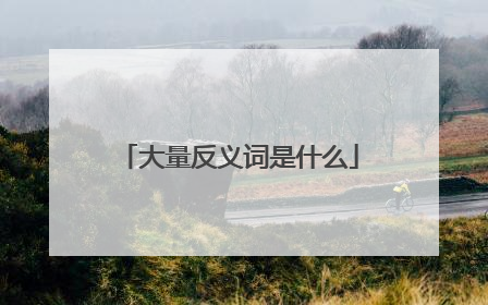大量反义词是什么