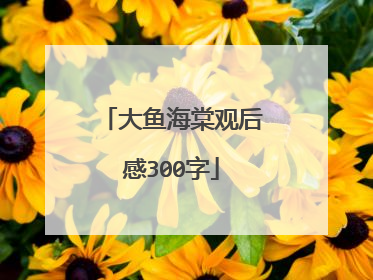 大鱼海棠观后感300字