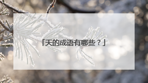 天的成语有哪些？