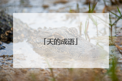 天的成语
